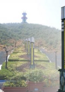 「百福路灯」告诉你仿古庭院灯的特色