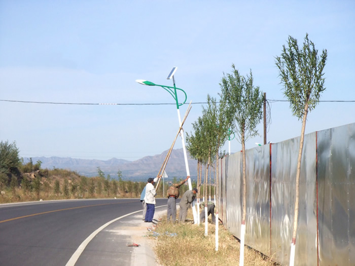 太阳能路灯工程案例