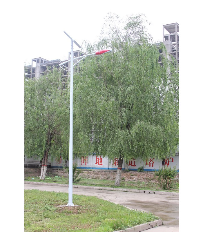 太阳能路灯工程案例